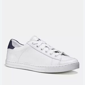 Coach Porter Lace Up Sneakers in White & Navy